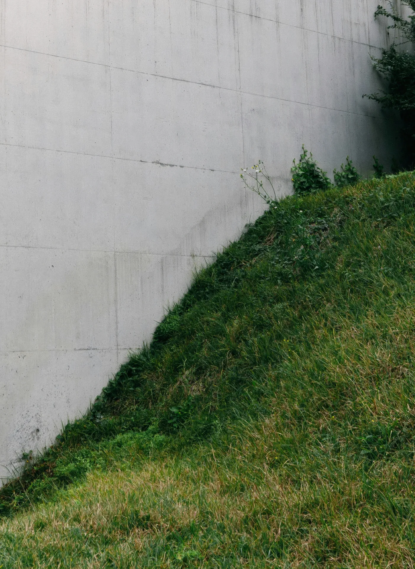 poured concrete retaining wall at a Boston home